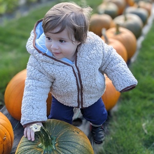 Team Page: Pumpkin π